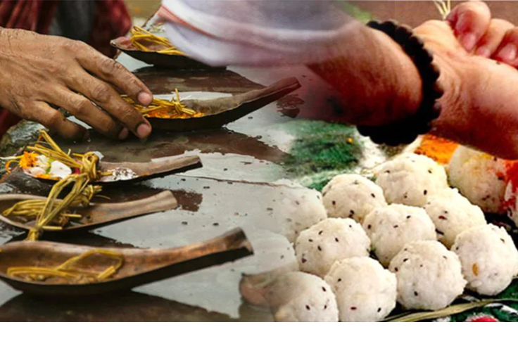 PITRA DOSH PUJA (पितृदोष पूजा)