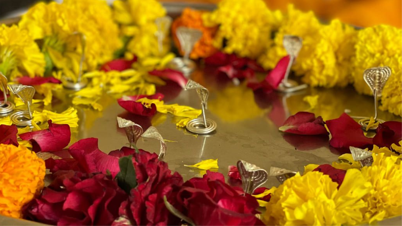 NAG BALI NARAYAN BALI PUJA (नाग बली नारायण बली पुजा )